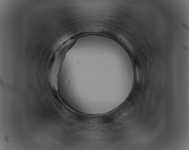 X0000093120675200710171246