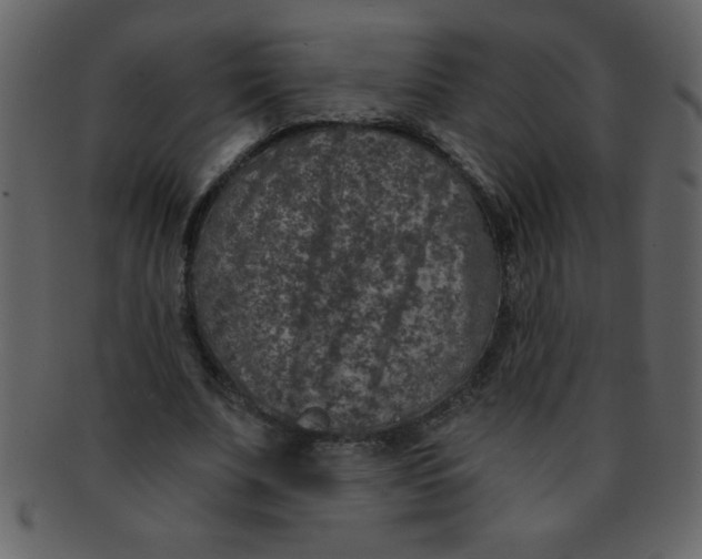 X0000093120679200710171246