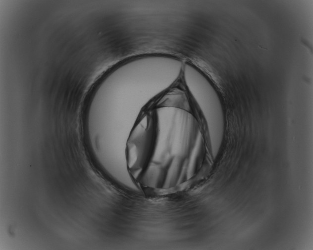 X0000093120680200710171246