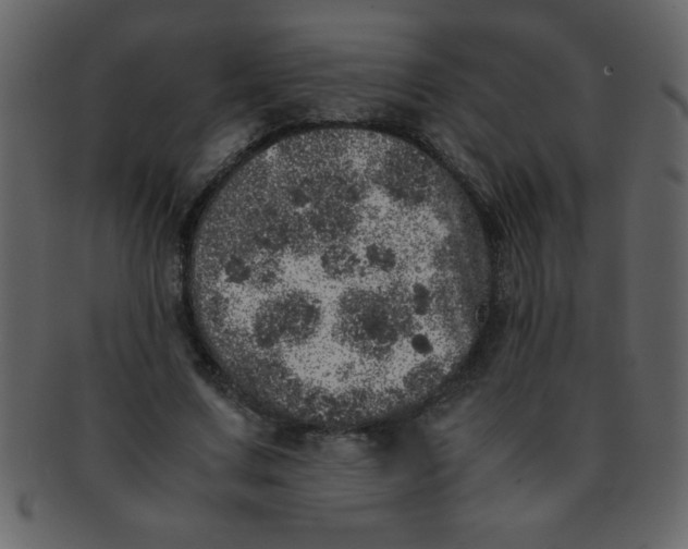 X0000093120683200710171246