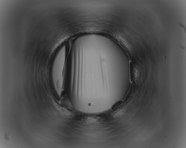 X0000093120684200710171246