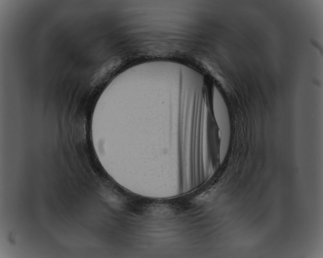 X0000093120685200710171246