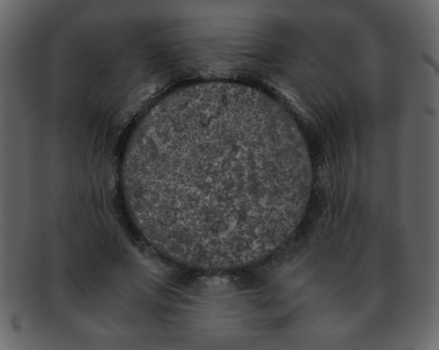 X0000093120687200710171246