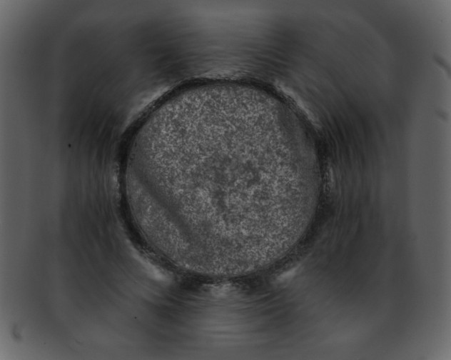 X0000093120688200710171246