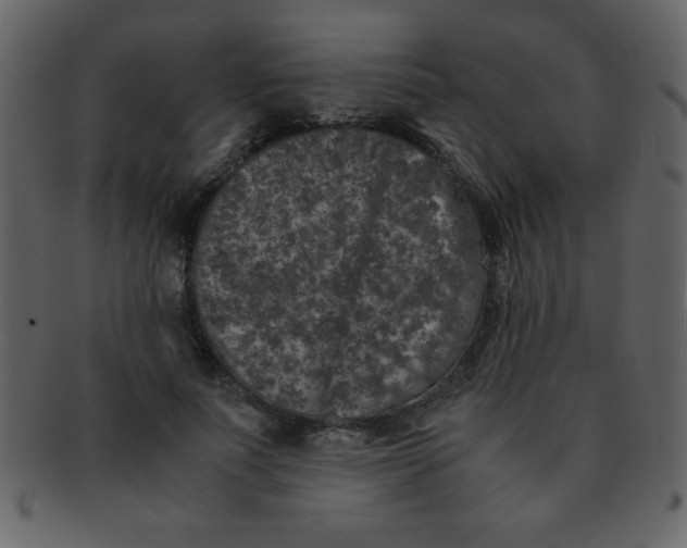 X0000093120691200710171246