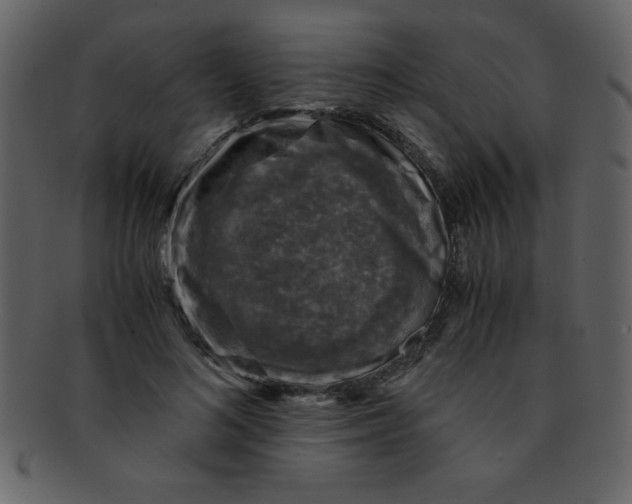 X0000093120692200710171246