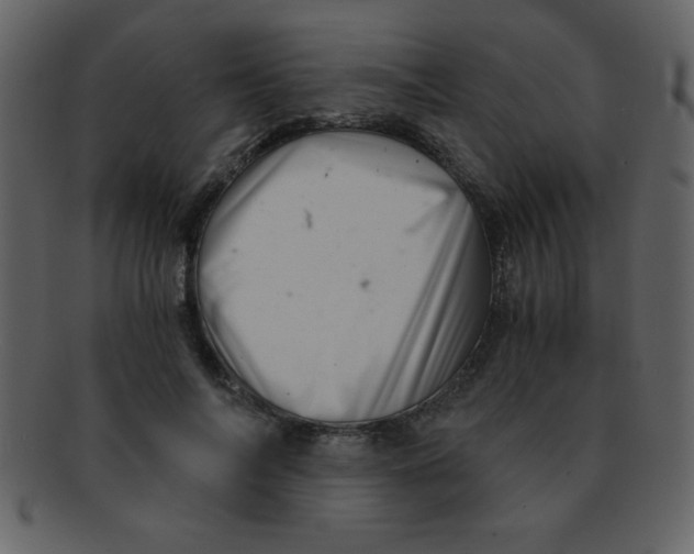 X0000093120694200710171246