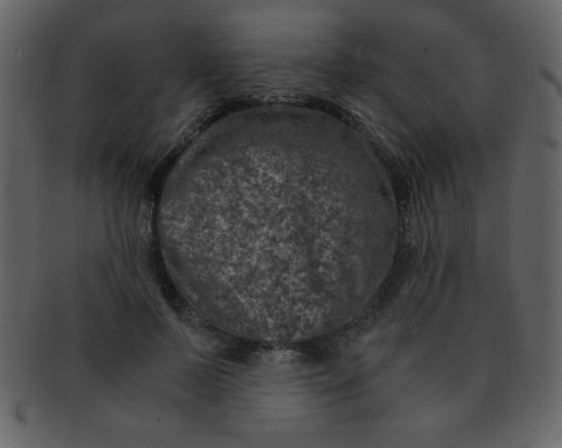 X0000093120695200710171246