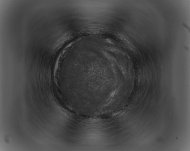 X0000093120696200710171246