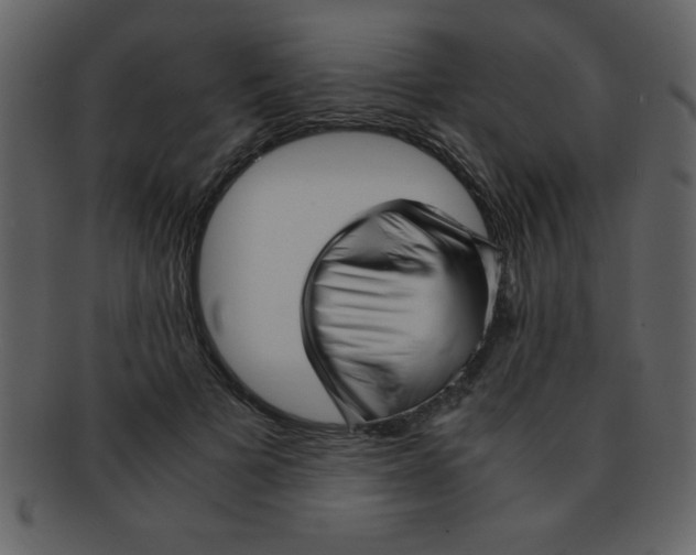 X0000093120697200710171246