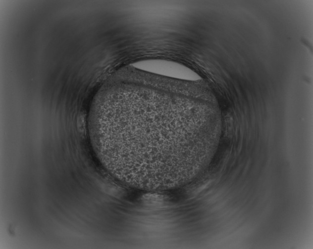 X0000093120699200710171246