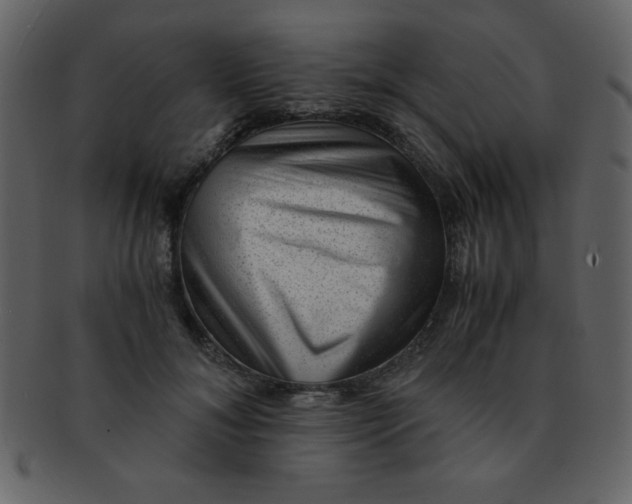 X0000093120700200710171246