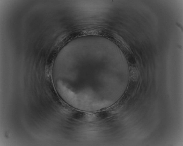 X0000093120701200710171246