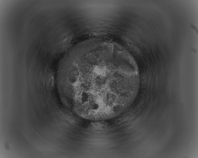 X0000093120703200710171246