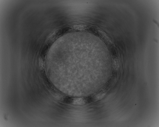 X0000093120705200710171246