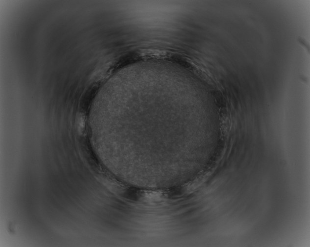 X0000093120709200710171246