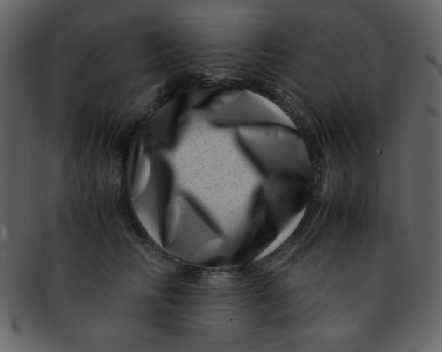 X0000093120710200710171246