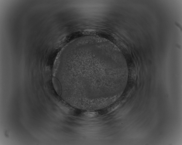 X0000093120711200710171246