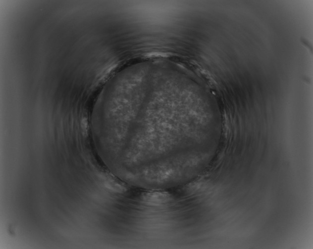 X0000093120716200710171246