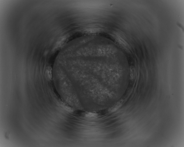 X0000093120718200710171245