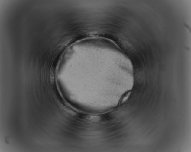 X0000093120719200710171245