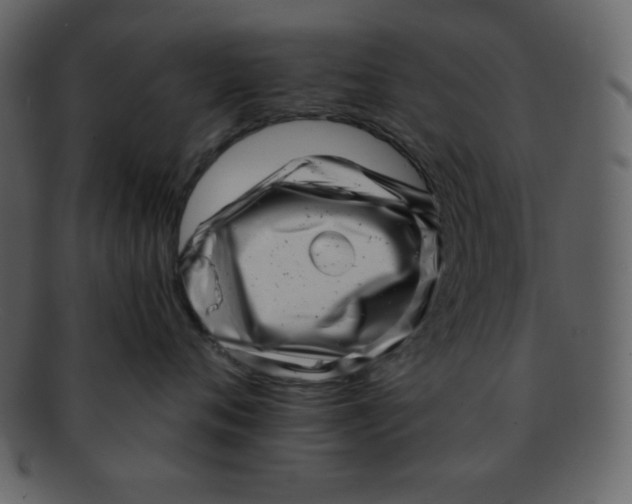 X0000093120720200710171245