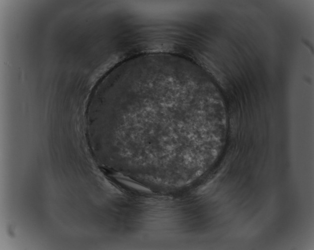 X0000093120721200710171245