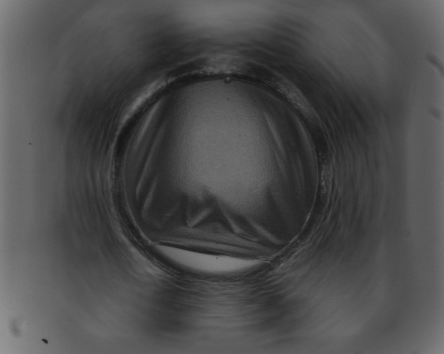 X0000093120722200710171245