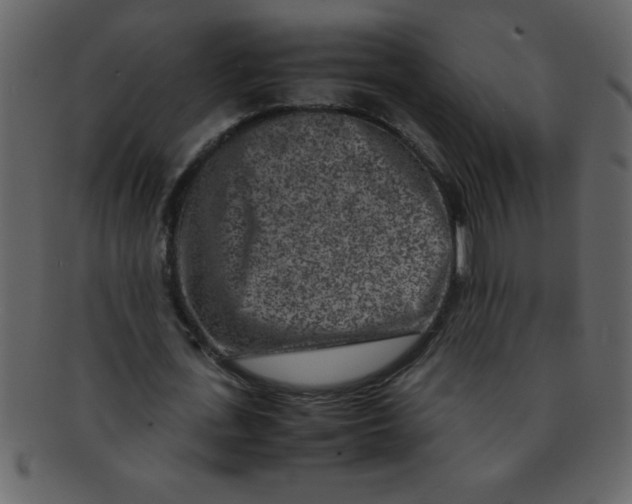 X0000093120723200710171245