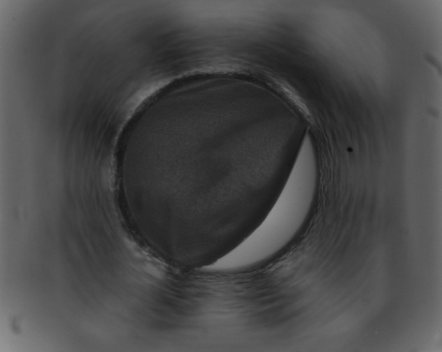 X0000093120724200710171245