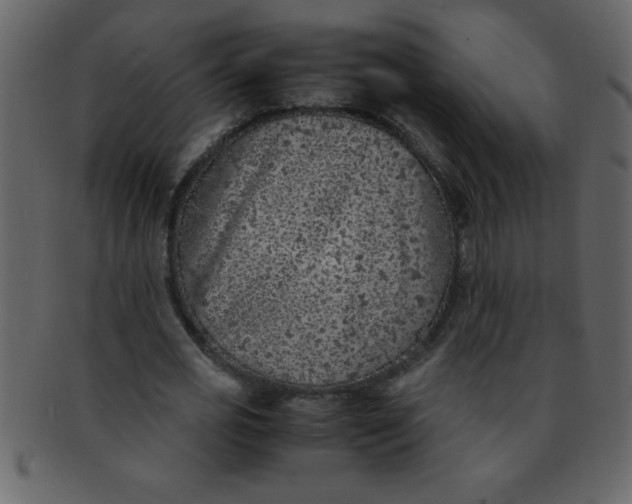 X0000093120725200710171245