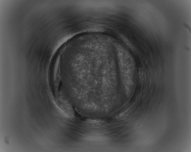 X0000093120726200710171245