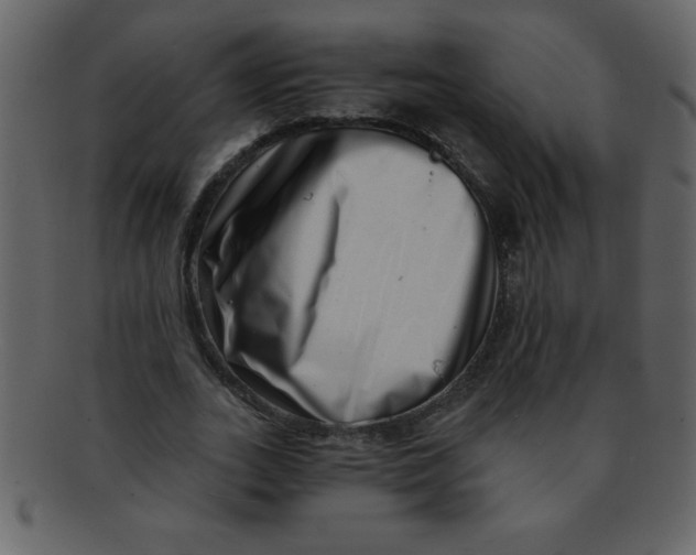 X0000093120727200710171245