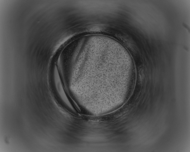 X0000093120728200710171245