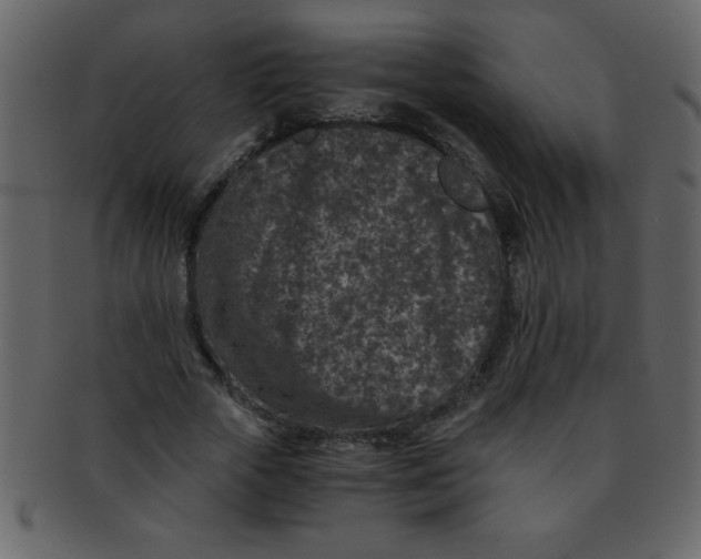 X0000093120729200710171245