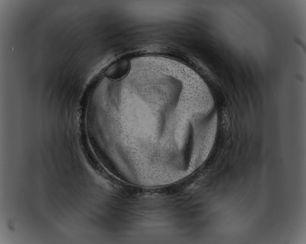 X0000093120730200710171245