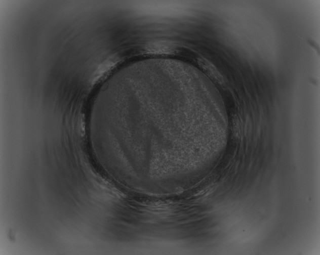 X0000093120731200710171245