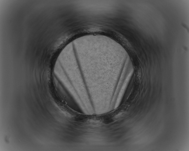 X0000093120732200710171245