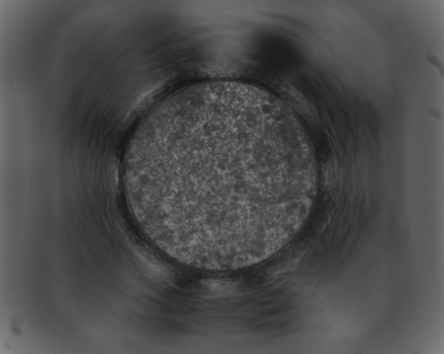 X0000093120733200710171245