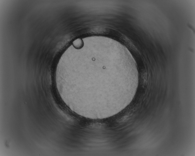 X0000093120734200710171245