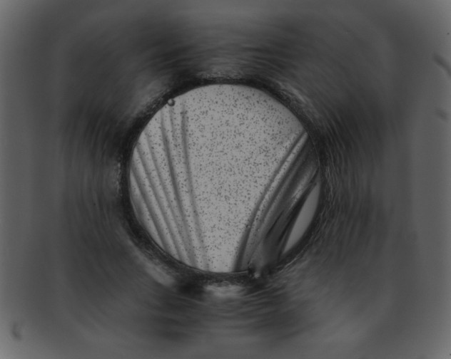 X0000093120735200710171245