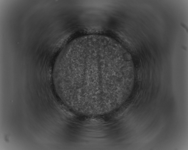 X0000093120737200710171245