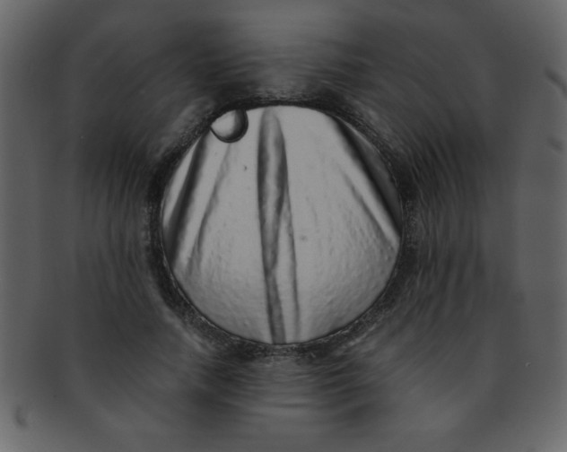 X0000093120738200710171245