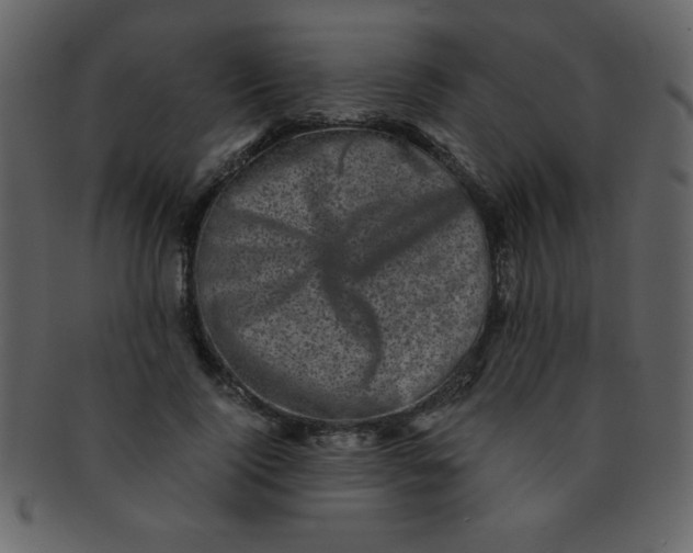 X0000093120740200710171245