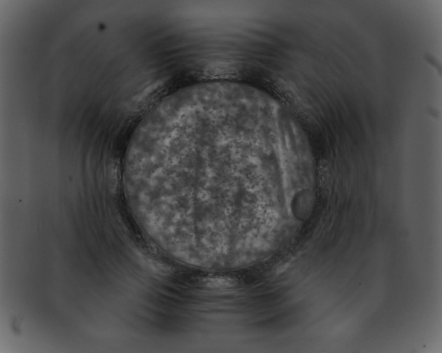 X0000093120741200710171245