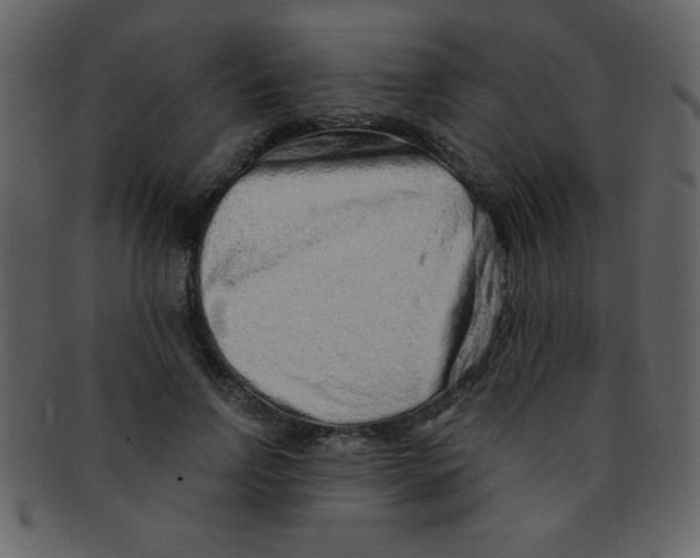 X0000093120742200710171245