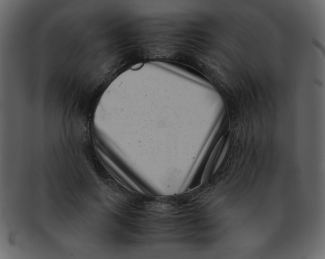 X0000093120743200710171245