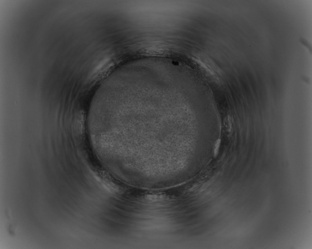 X0000093120744200710171245