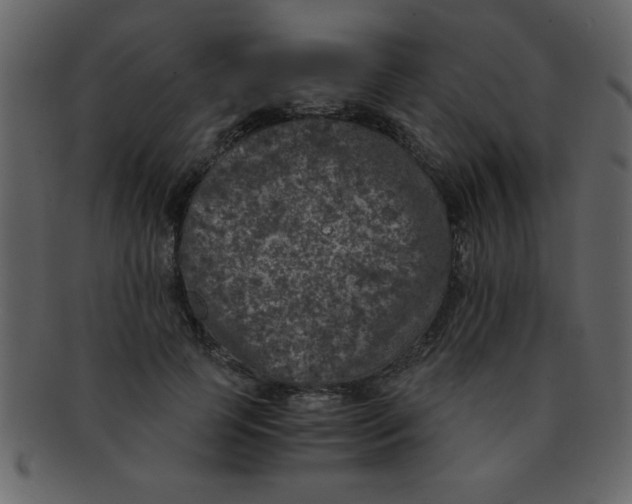 X0000093120745200710171245