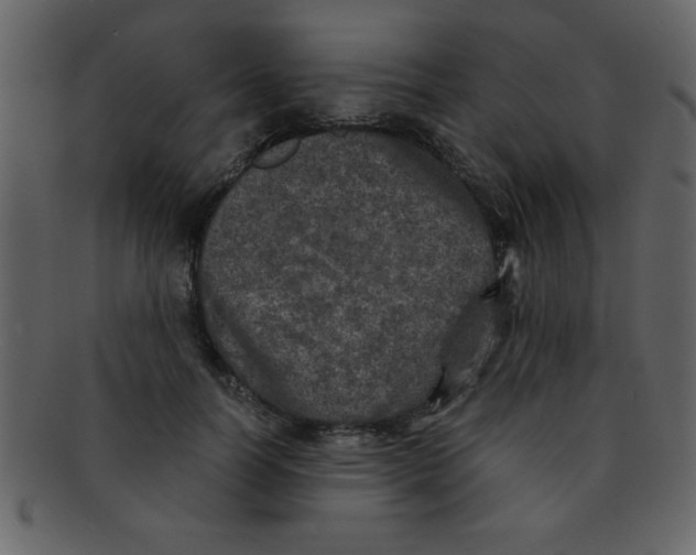 X0000093120746200710171245